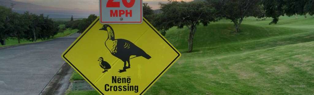 Maui wildlife: sign indicating Nene Crossing