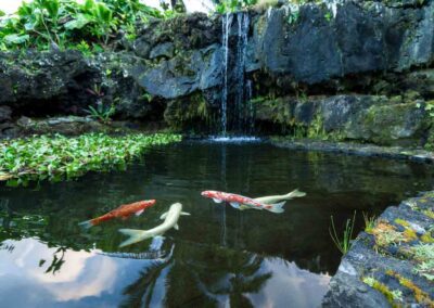 Hana-Kai. Koi Pond