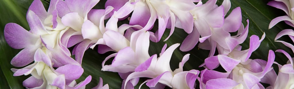 things to do on Maui in spring: orchid lei for Lei Day