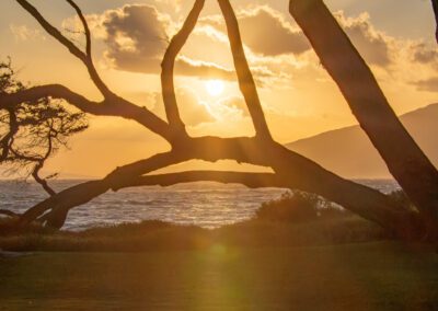 Aloha Aku Inn and Suites Sunset view