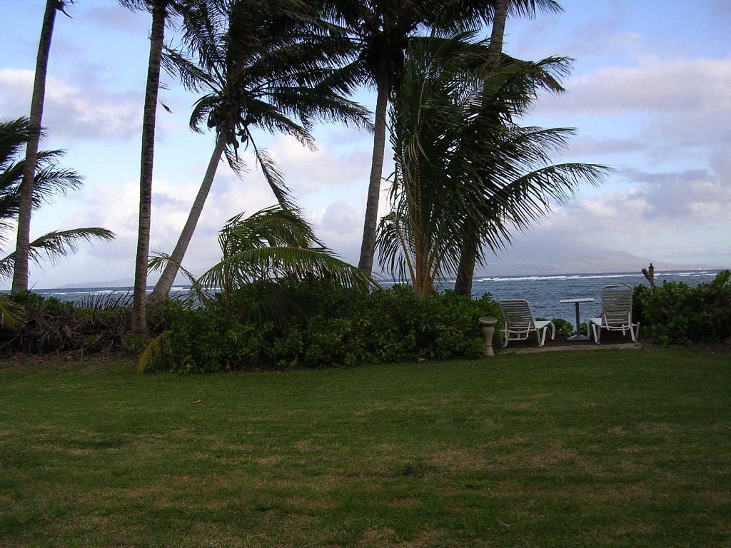 Our Beachfront Cottage On Molokai Maui Accommodations Guide