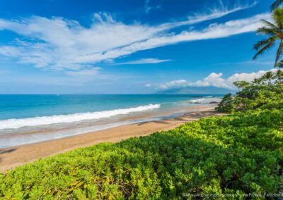 Andaz Amore Aloha 813-2