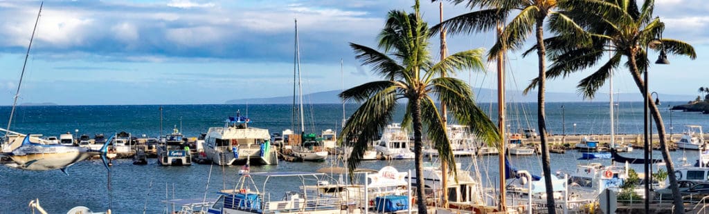 Why Stay in Maalaea. boat harbor