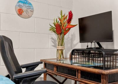 Kihei Akahi DG06 Remote Work