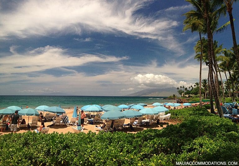 The Best Time to Visit Maui ALL ABOUT MAUI Travel Tips