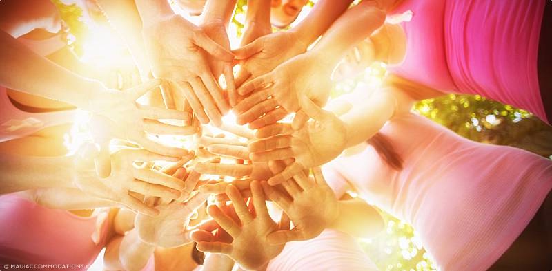 Lahaina Updates Volunteering