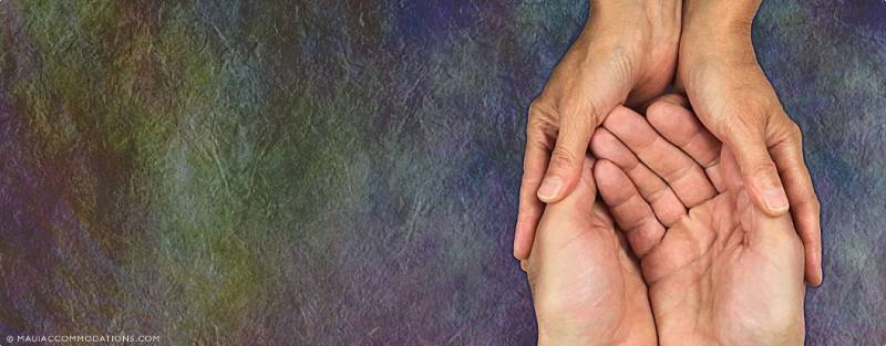 Help Support Lahaina and Maui Lahaina Updates Support Hands