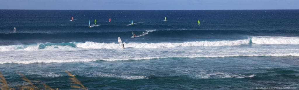 Hookipa wind surfing