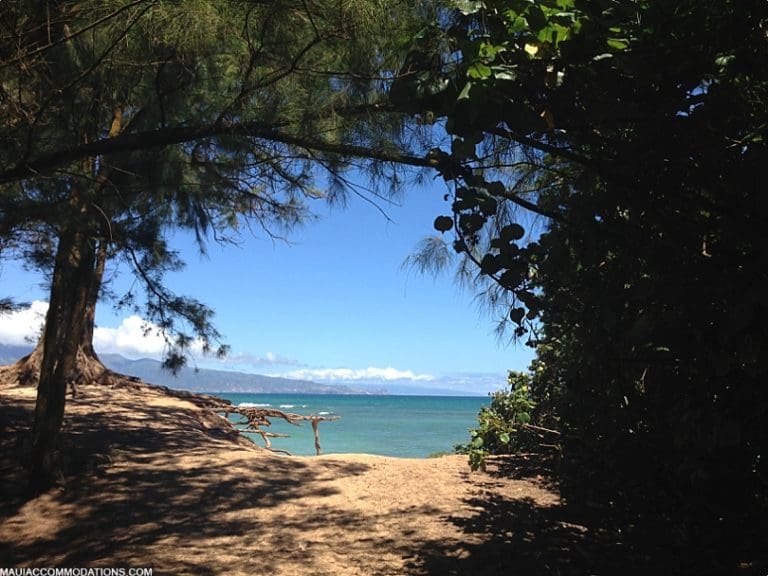 Top 10 Hidden Gems on Maui Maui Guide