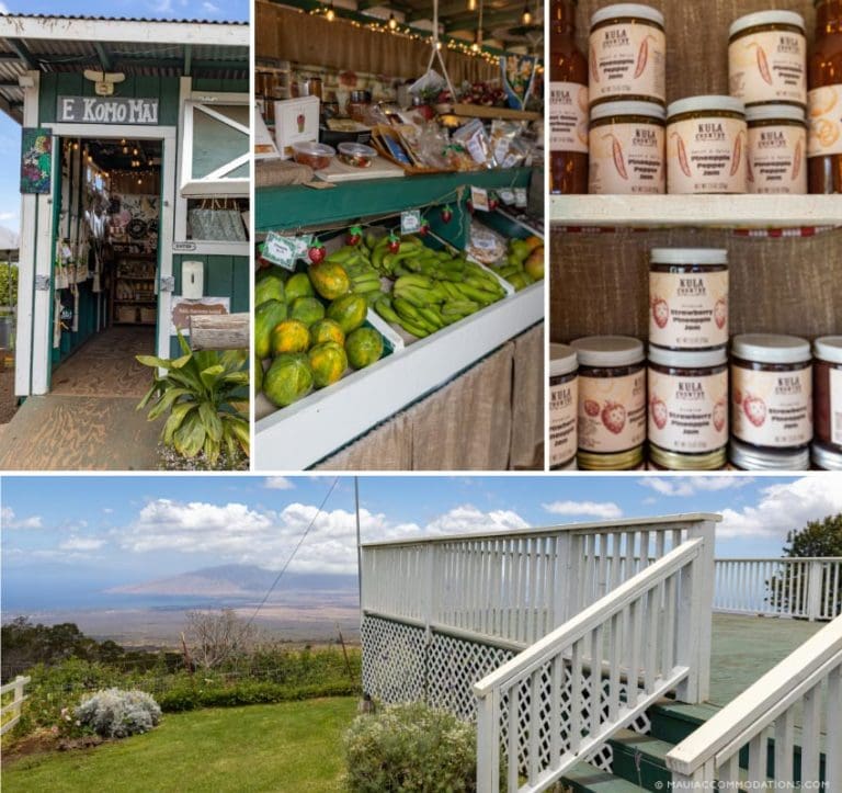 The Ultimate Guide to Farmers Markets and Fruit Stands on Maui Maui