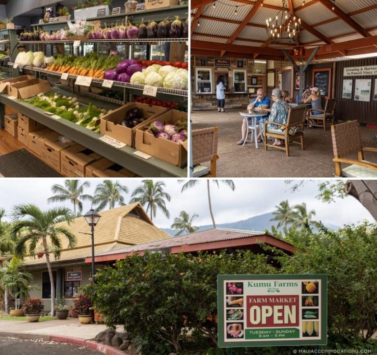 The Ultimate Guide to Farmers Markets and Fruit Stands on Maui Maui