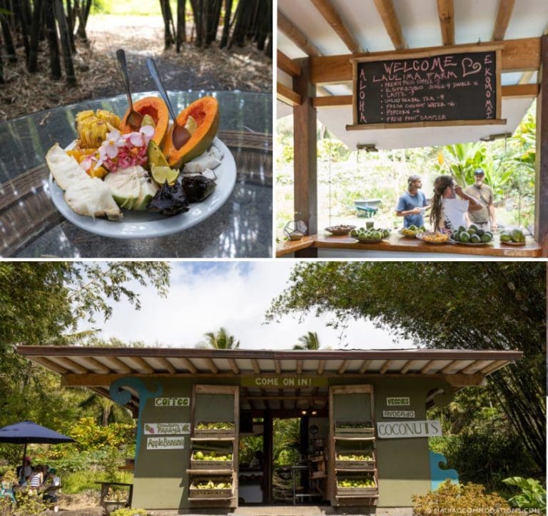 The Ultimate Guide to Farmers Markets and Fruit Stands on Maui Maui
