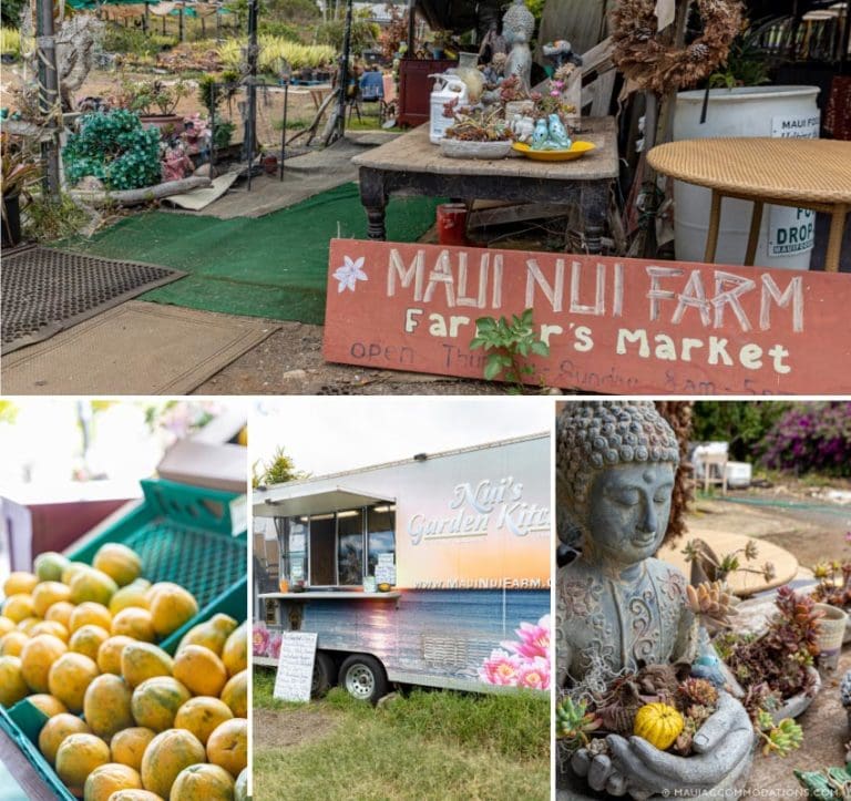 The Ultimate Guide to Farmers Markets and Fruit Stands on Maui Maui