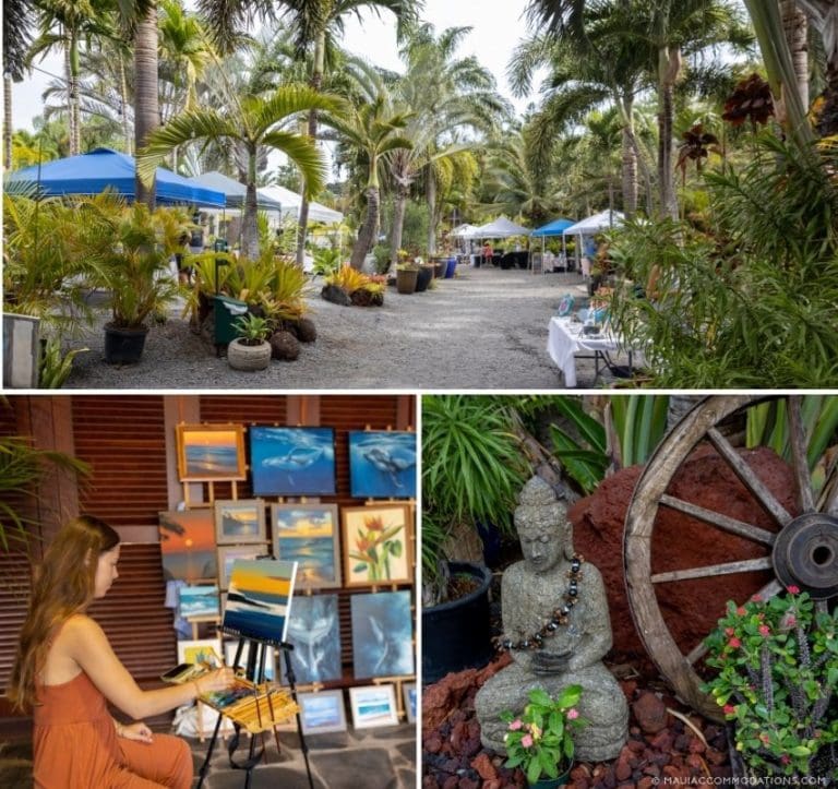 The Ultimate Guide to Farmers Markets and Fruit Stands on Maui Maui Guide