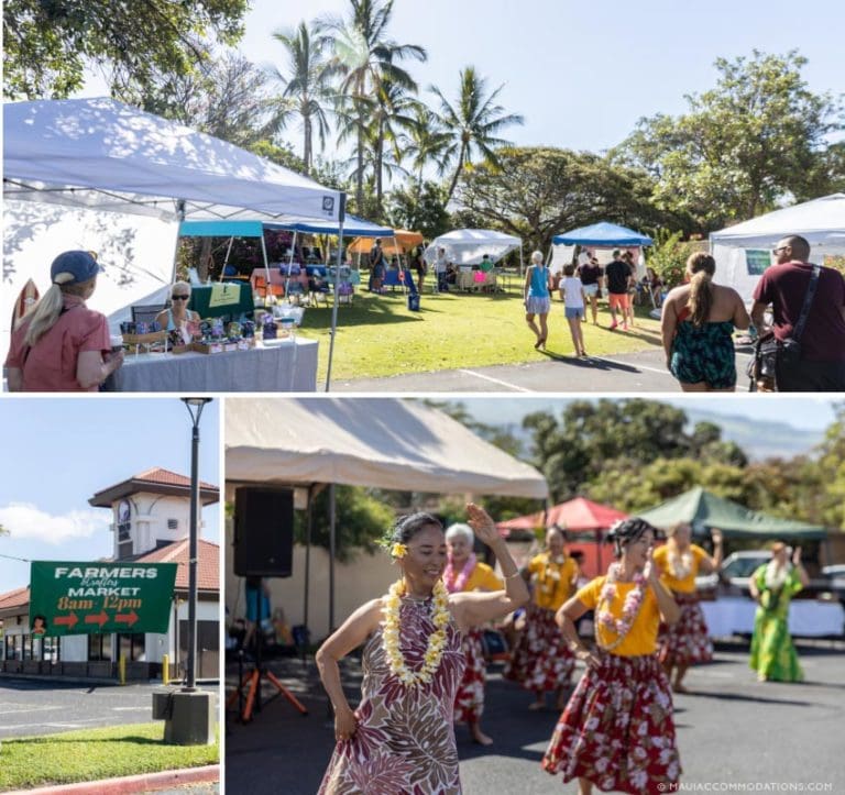 The Ultimate Guide to Farmers Markets and Fruit Stands on Maui Maui