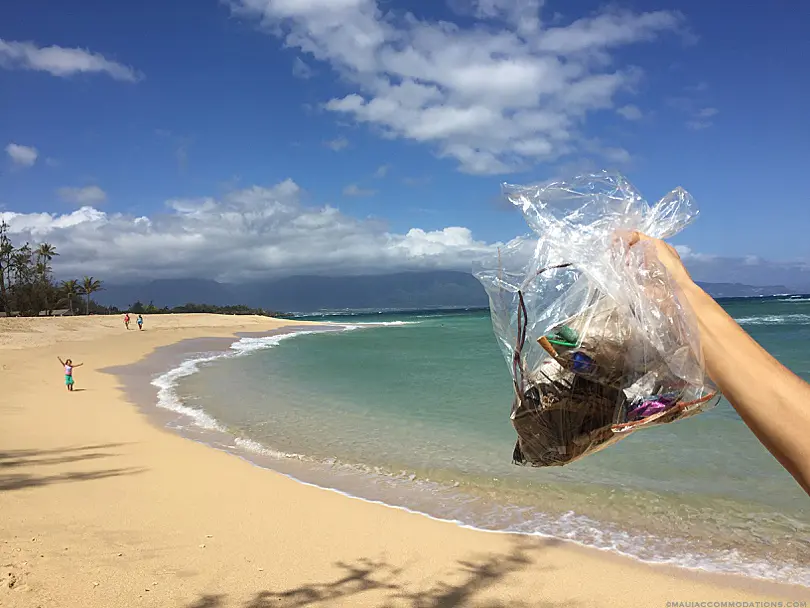 Beach Clean Up Maui