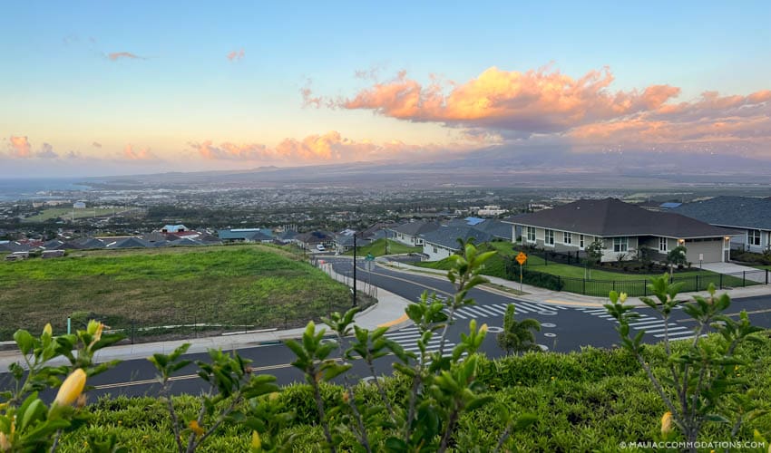 Central Maui- hot picks