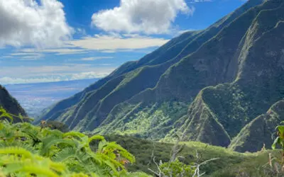 January Hot Picks: Best Places to Stay on Maui this Winter