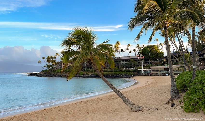West Maui Napili Beach - hot picks