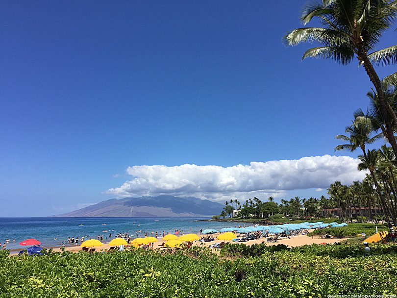 Busy day at Wailea Beach, Maui Hawaii