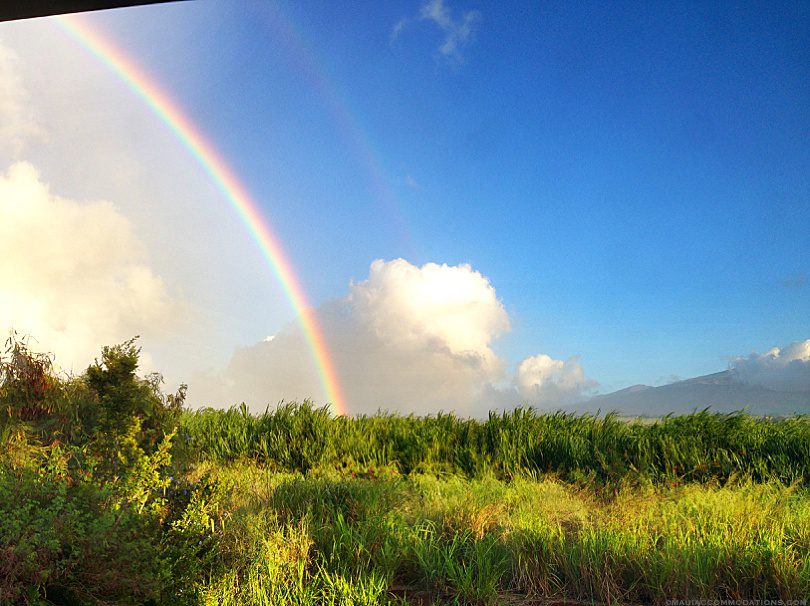 Rainbow over sugarcane fields, Maui Hawaii