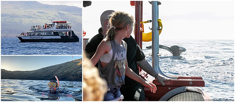 Whale watching and snorkeling in Maui, Hawaii
