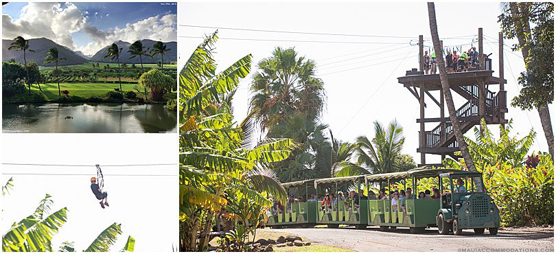 Maui Tropical Plantation Zipline, Family things to do on Maui
