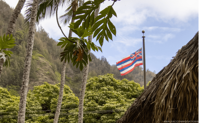 Hawaiian language tips