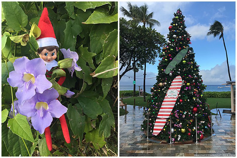 Christmas on Maui