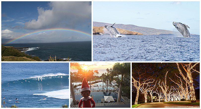 Things to do on Maui in winter: whale watching, holidays, rainbows, surfing