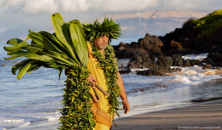 Hawaiian Culture Polo Beach 850x500