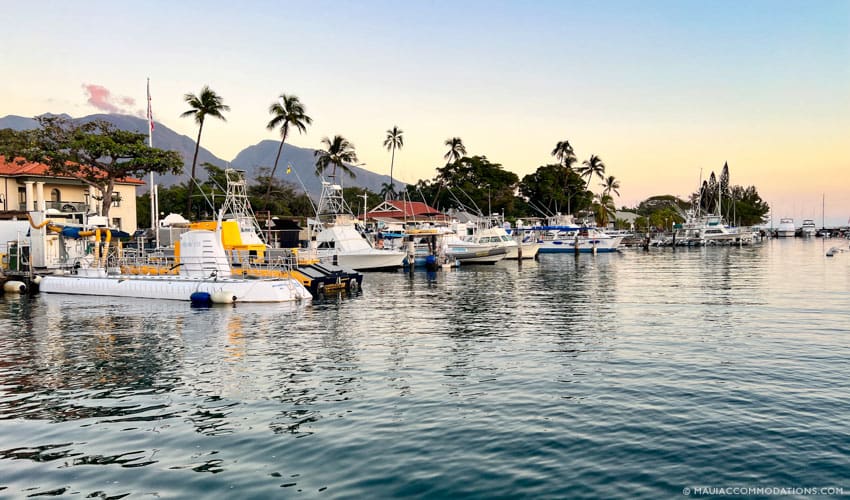 Lahaina Harbor 850x500