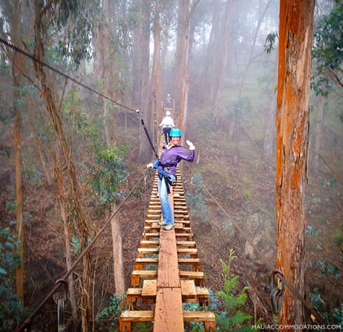 Maui activity experts