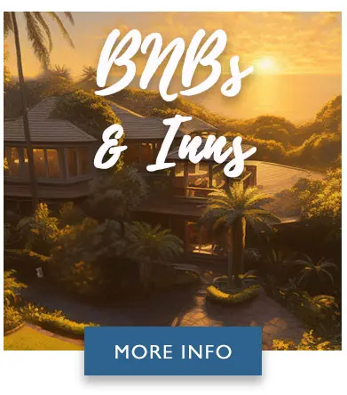 Maui Bnbs and Inns Maui Bnbs and Inns
