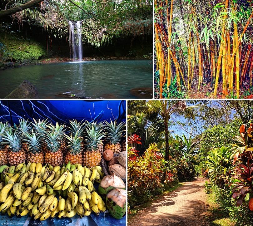 Maui for Families Twin Falls