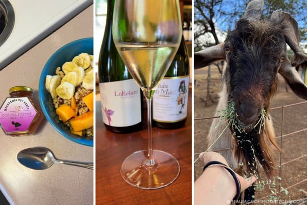 Bee Nourished Honet, Maui Wine, Surfing Goat Dairy