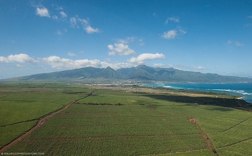 Maui Food Trucks Guide Central