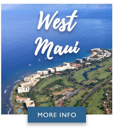 West Maui regions