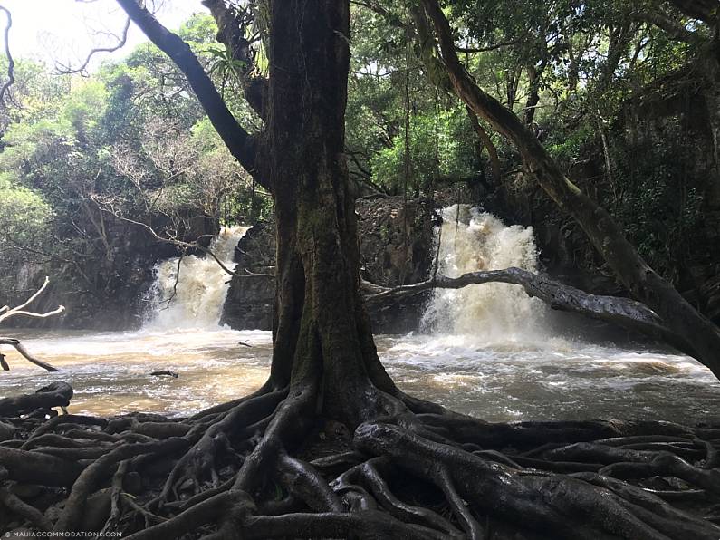 2024 Maui Travel Tips Waterfalls Rushing