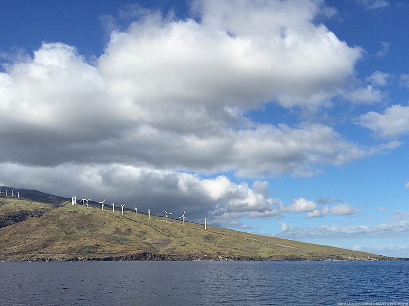 View of Pali Trail, Maui