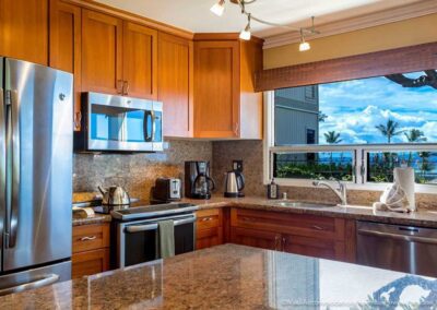 Wailea Ekolu 503 Kitchen