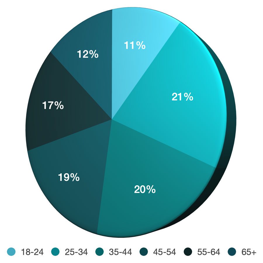 Maui demographic 2024