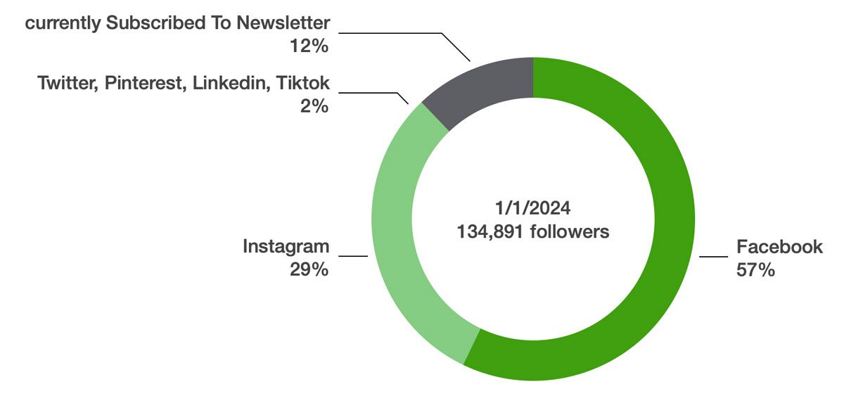 social media 2024