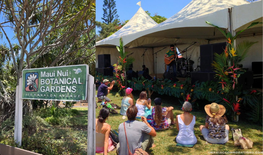 Things to do on Maui in Spring, Hoomau