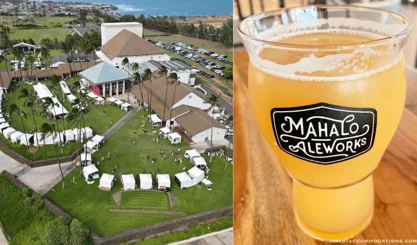 Things to do in Spring — Brewers Fest