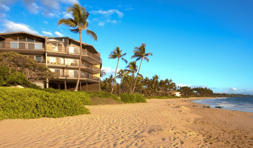 Hale Hui Kai Hot Picks