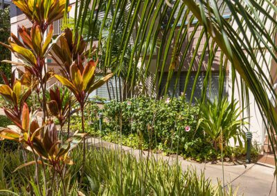 Kihei Kai Nani Maui Flora