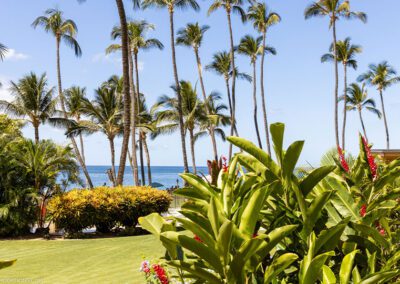 Mana Kai Maui Resort Property Views