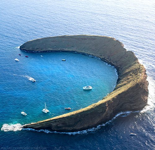 Molokini Snorkeling