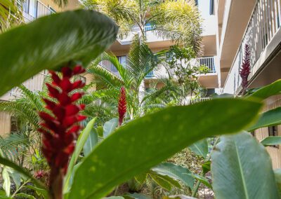 Pacific Shores Maui Foliage